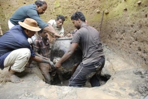 Pattanam Excavation Site Kerala
