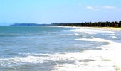 Kannur