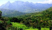 Attappady