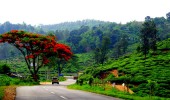 Idukki