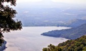 Nelliyampathy