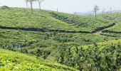 Thekkady