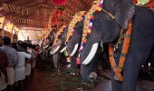 Uthralikavu Pooram festival