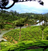Munnar With Houseboat 4 Days Tour Package