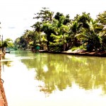 Kottayam