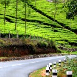 Munnar Road
