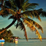 Poovar