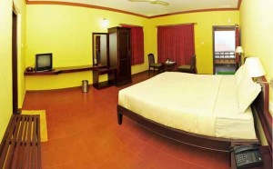 Aranyaka Resorts-Room Inside