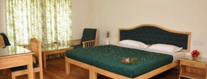 Camp Noel Resort-Room