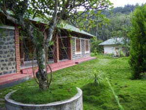 Dew Drops Munnar-Exterior