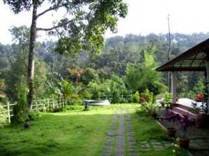 Dew Drops Munnar-Exterior2