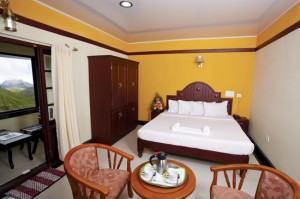 Elysium Garden HIll Resort-Room