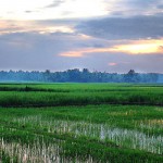 Kasaragod, Kerala