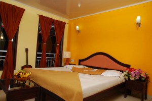 Misha Holiday Home-Room