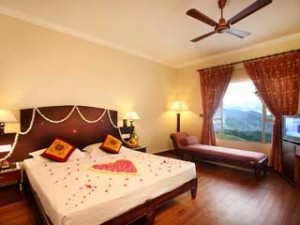 Misty Mountain Resort-Suite