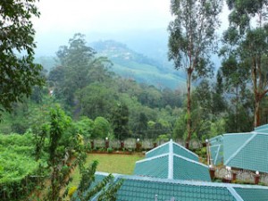 Munnar Heritage Resort-Balcony View