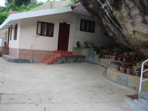 Munnar Rock Resort-Cottage View