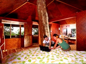 Nature Zone Resort-Room