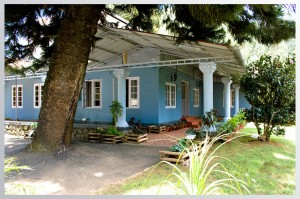 Spring Dale Resort-Exterior