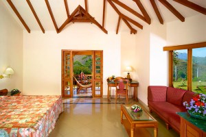 Tea-County-Premium Room