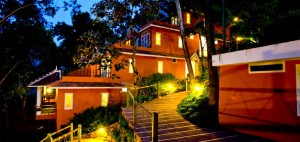 Tea Valley Resort