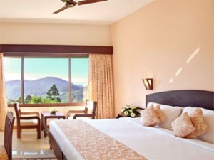 Terrace Greens Munnar-Room2