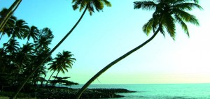 Thangasseri Beach