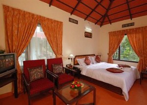 The New Whispering Meadows-Room