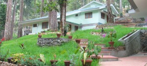 Woodpecker Holidays Munnar-Exterior