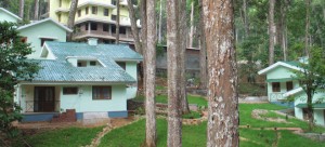 Woodpecker Holidays Munnar-Exterior2