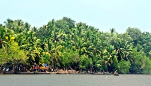 Ashtamudi Lake
