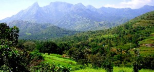 Attappady in Palakkad