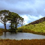 Chembra peak - Wayanad