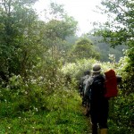 Hiking in Thekkady