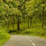 How to Reach Wayanad