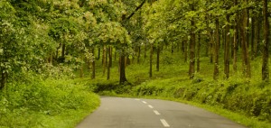 How to Reach Wayanad
