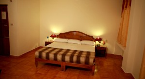 Jasmine Palace Kovalam-Room