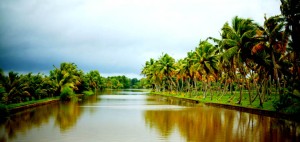 Kollam Backwater