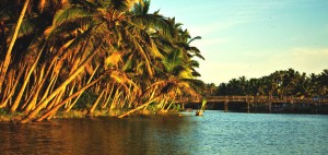 Thiruvallam Backwaters