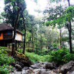 blue ginger resorts, vythiri
