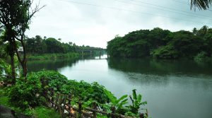 View from Hotel Periyar