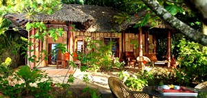 Agastya Ayurveda Garden