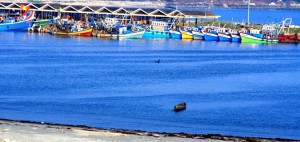 Azhikkal fishing harbour
