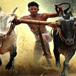 Cattle Bull Race in Adoor