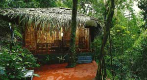 Jaanis Jungle Villa near Periyar in Thekkady