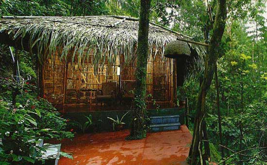 Jaanis Jungle Villa near Periyar in Thekkady