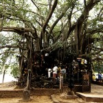 Kollengode, Palakkad