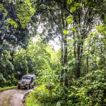 Nelliyampathy Hill Station