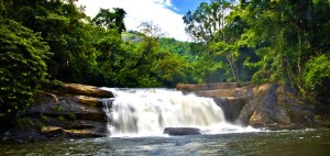 ThommanKuthu Water falls