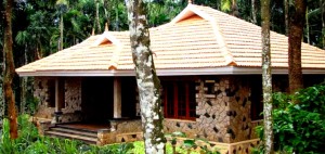 Wayanad Blooms